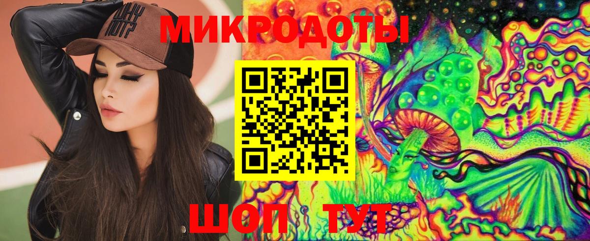 Псилоцибиновые грибы Psilocybe Донецк