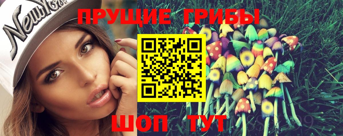Псилоцибиновые грибы MAGIC MUSHROOMS  Вход с VPN  Псилоцибиновые грибы GOLDEN TEACHER  Донецк 